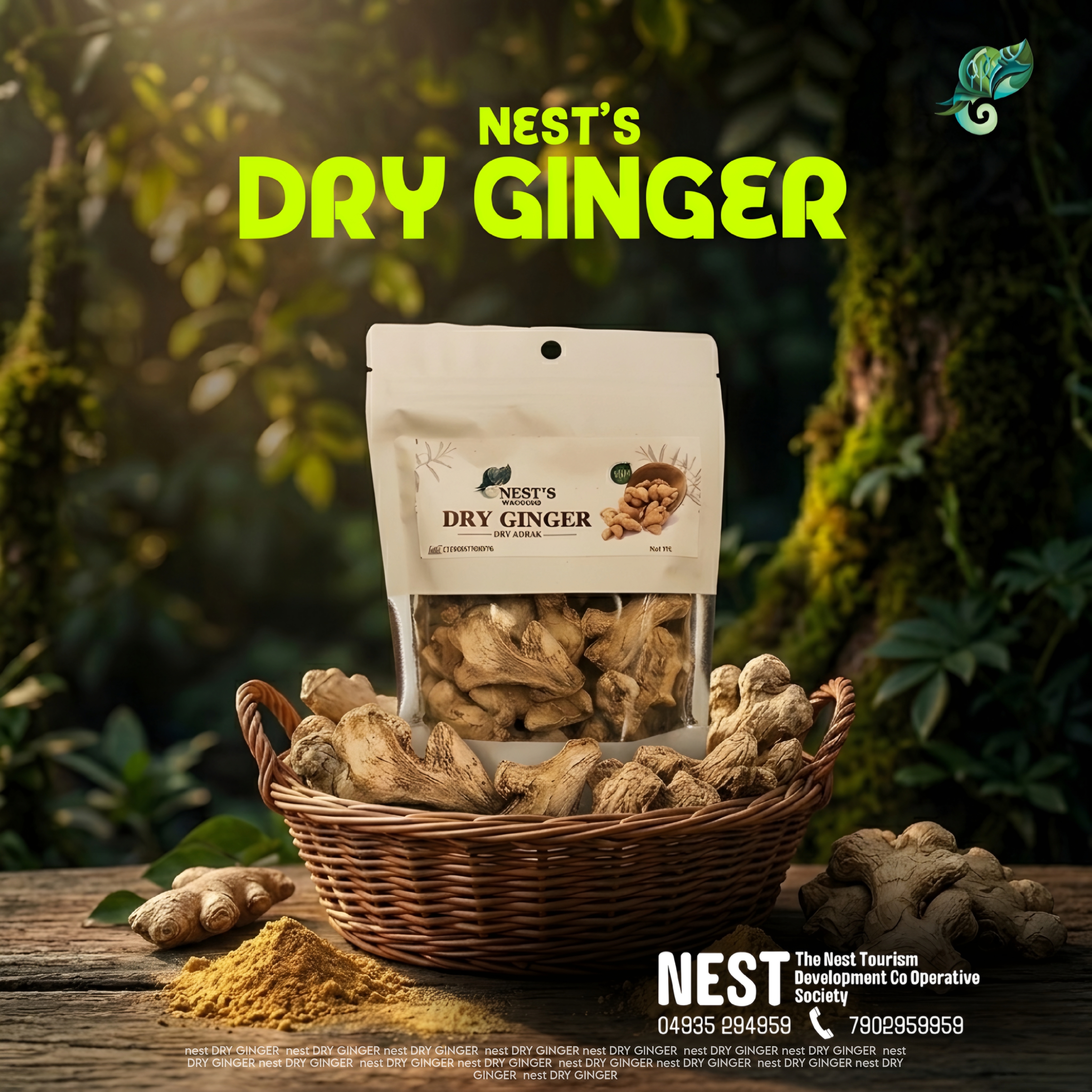 NEST Dry Ginger